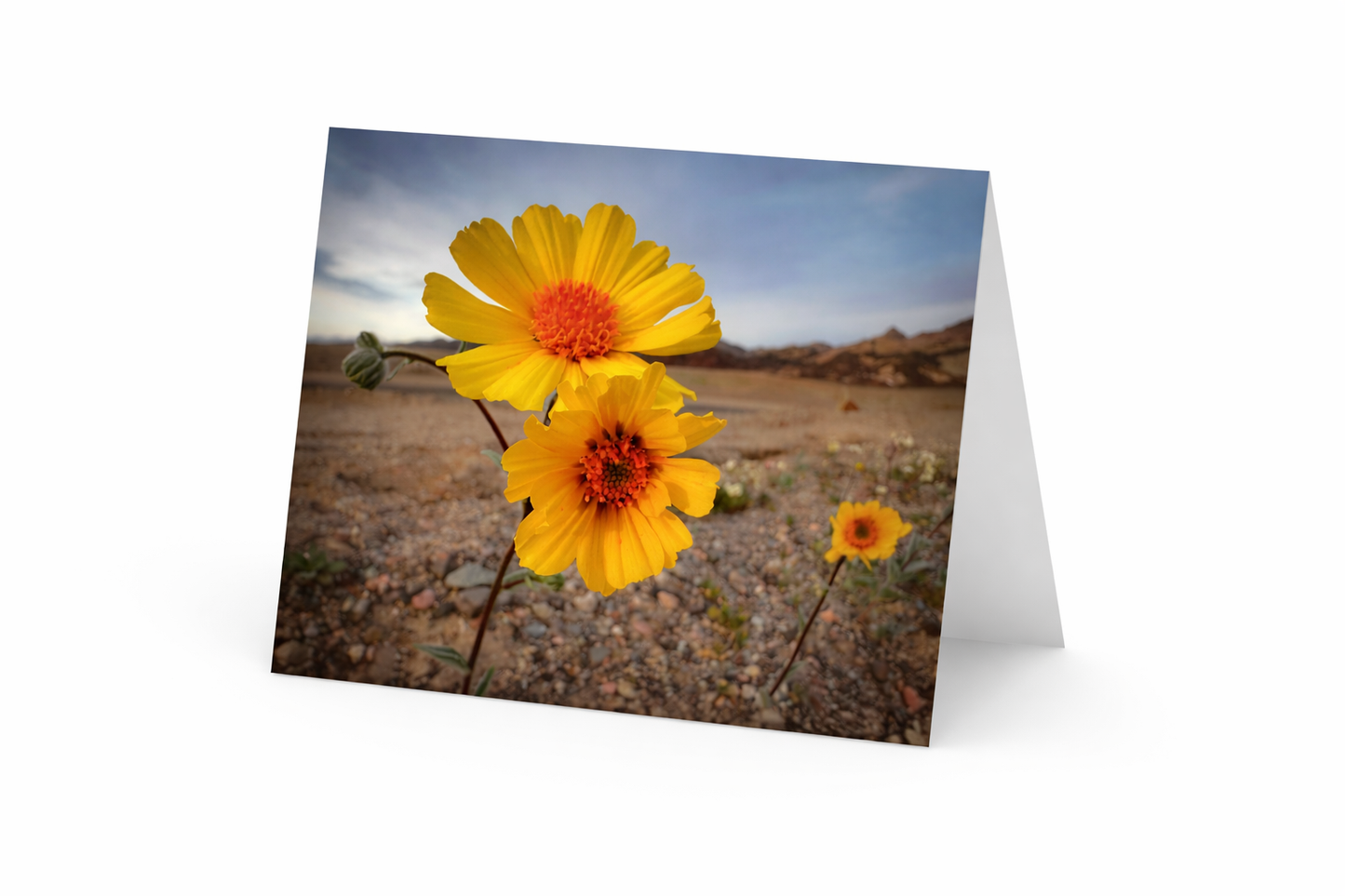 Notecards from Death Valley