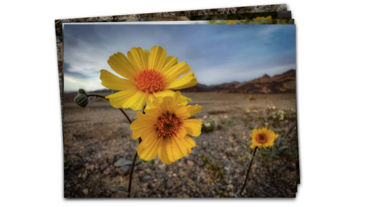 Notecards from Death Valley