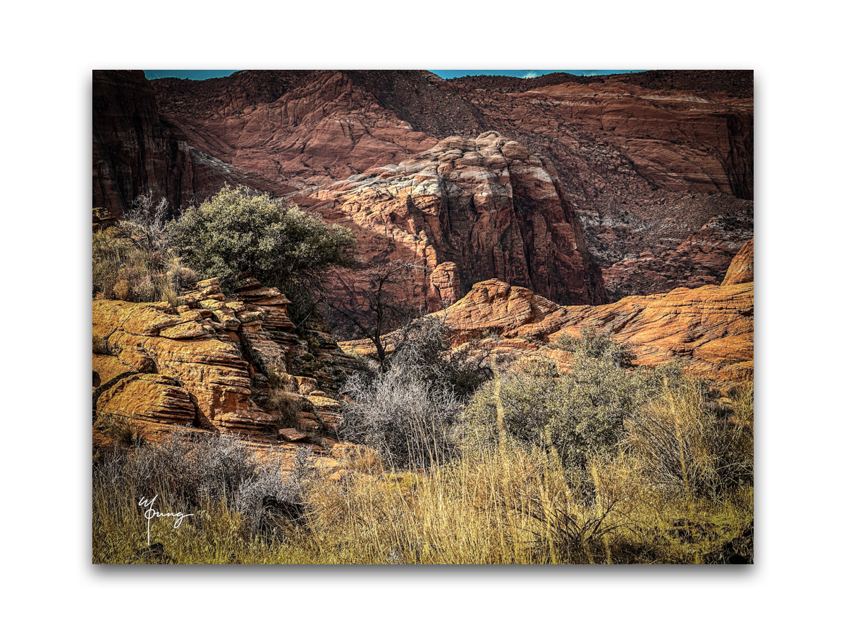 Postcards - Desert Southwest Collection