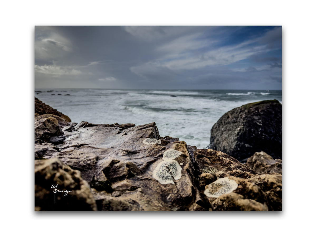 Postcards - Central Coast Collection