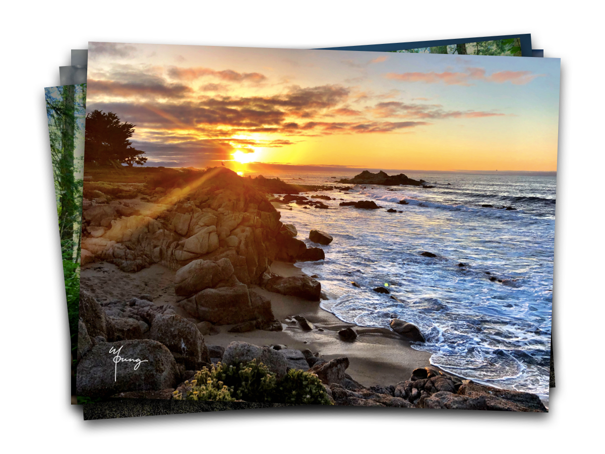 Postcards - Central Coast Collection