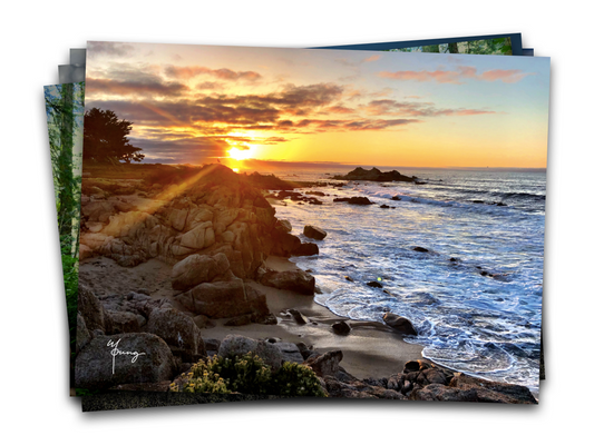 Postcards - Central Coast Collection